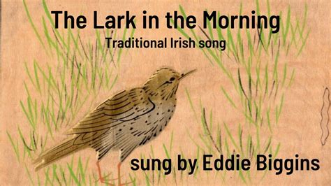  The Lark In The Morning: Une Mélodie Folk endiablée mélancolique et joyeusement entraînante